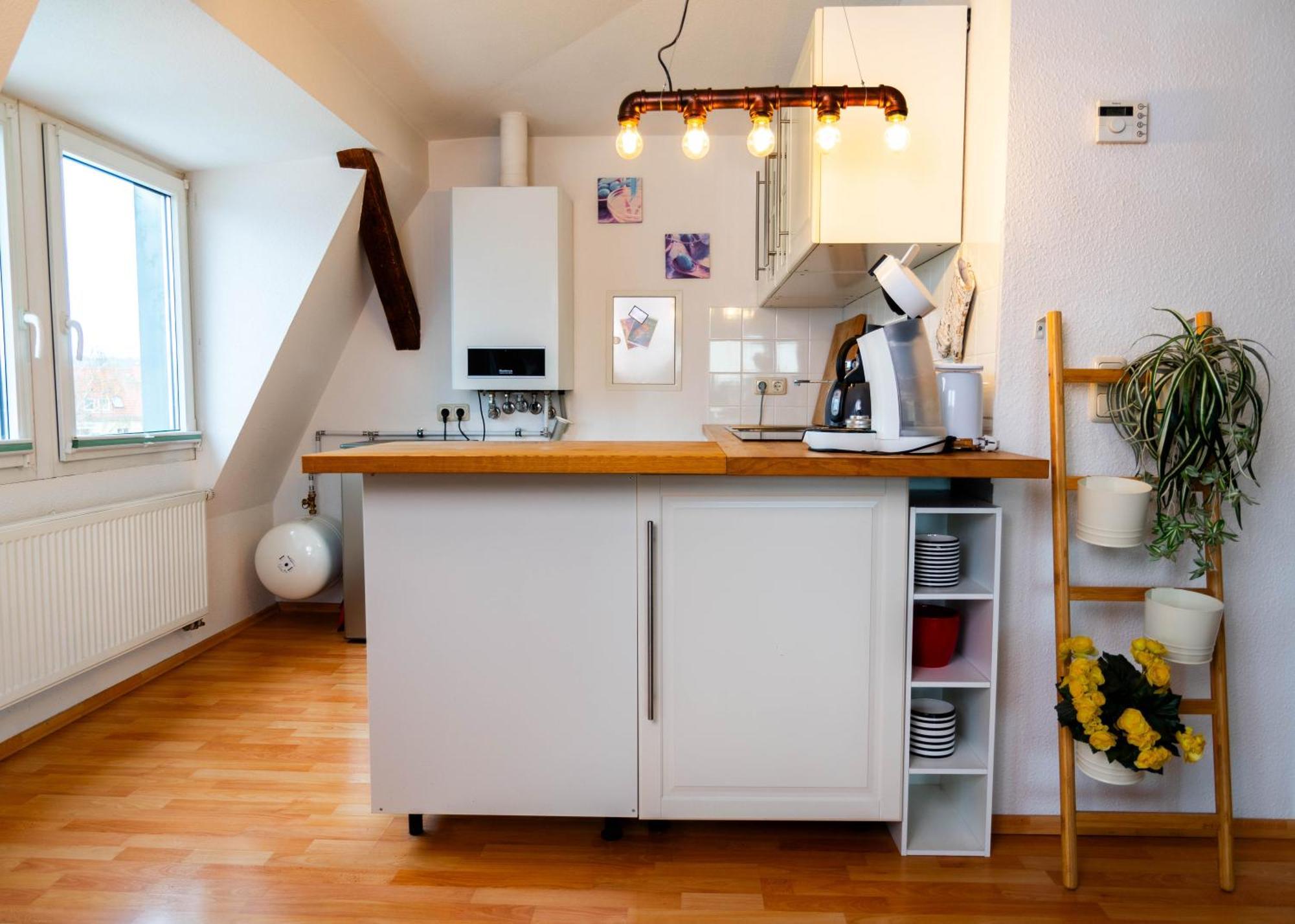 Apartmenthaus Rankestrasse 4 Dresden Ngoại thất bức ảnh