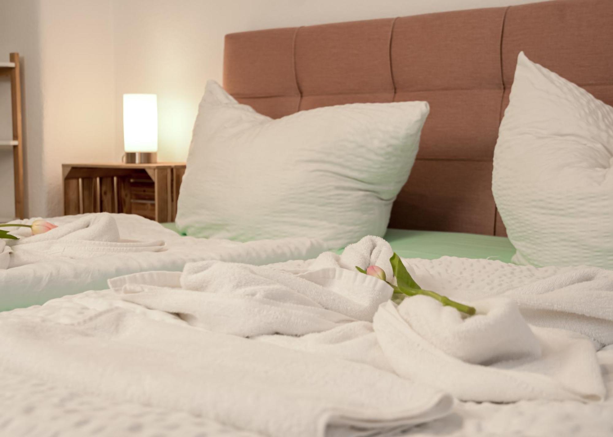 Apartmenthaus Rankestrasse 4 Dresden Ngoại thất bức ảnh